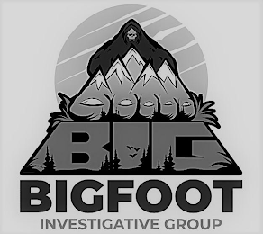 BIG BIGFOOT INVESTIGATIVE GROUP logo