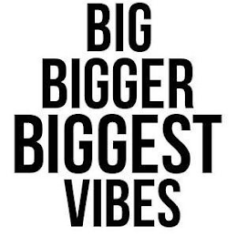 BIG BIGGER BIGGEST VIBES logo