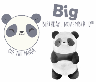 BIG BIRTHDAY: NOVEMBER 17TH BIG THE PANDA logo