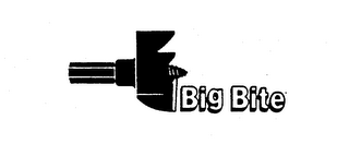 BIG BITE logo