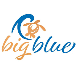 BIG BLUE logo