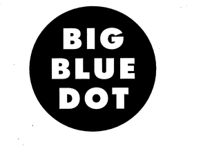 BIG BLUE DOT logo