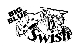 BIG BLUE SWISH logo