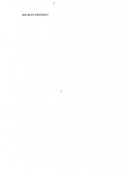 BIG BLUE WHITEOUT logo