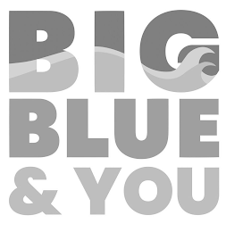 BIG BLUE & YOU logo