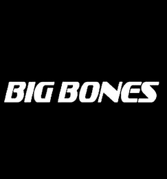 BIG BONES logo