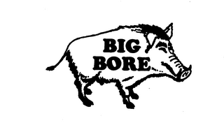 BIG BORE logo