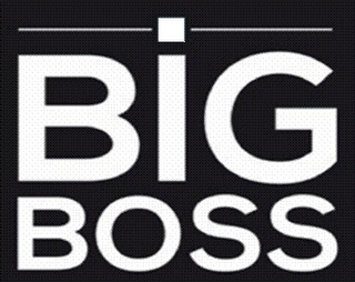 BIG BOSS logo