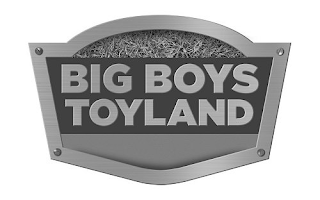 BIG BOYS TOYLAND logo