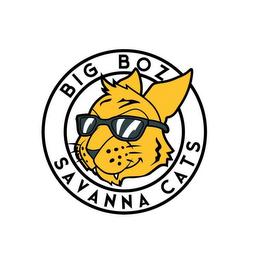 BIG BOZ SAVANNA CATS logo