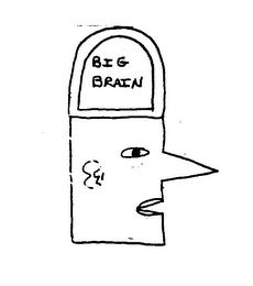 BIG BRAIN logo