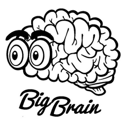 BIG BRAIN logo