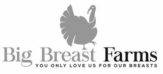 BIG BREAST FARMS YOU ONLY LOVE US FOR OUR BREASTS logo