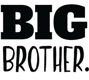 BIG BROTHER. logo