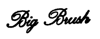 BIG BRUSH logo