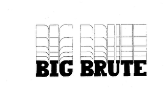 BIG BRUTE logo