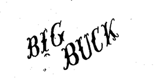 BIG BUCK logo