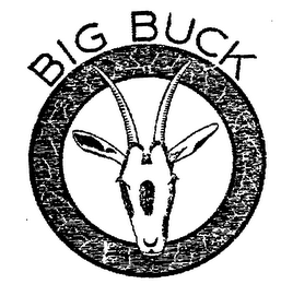 BIG BUCK logo