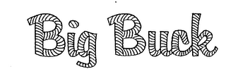 BIG BUCK logo