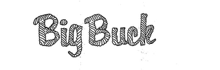 BIG BUCK logo