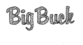BIG BUCK logo