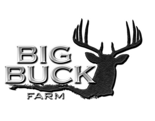 BIG BUCK FARM logo