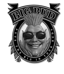 BIG BUD logo