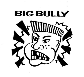 BIG BULLY logo