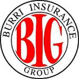 BIG BURRI INSURANCE GROUP logo