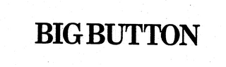 BIG BUTTON logo