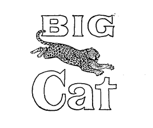 BIG CAT logo
