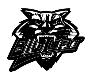 BIG CAT logo