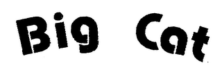 BIG CAT logo