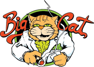 BIG CAT logo