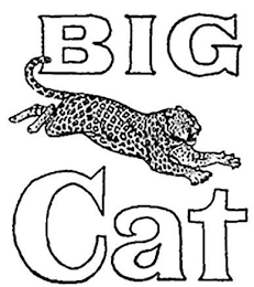 BIG CAT logo
