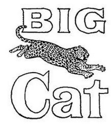 BIG CAT logo