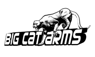 BIG CAT ARMS logo