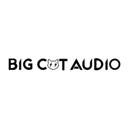 BIG CAT AUDIO logo