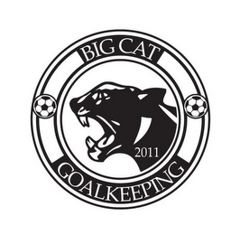 BIG CAT GOALKEEPING 2011 logo