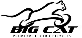 BIG CAT PREMIUM ELECTRIC BICYCLES logo