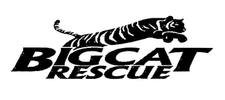BIG CAT RESCUE logo