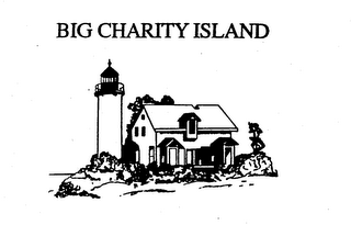 BIG CHARITY ISLAND logo