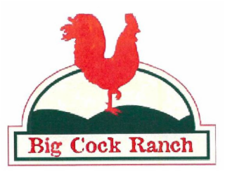 BIG COCK RANCH logo