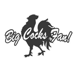 BIG COCKS FAN! logo