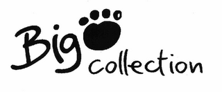 BIG COLLECTION logo