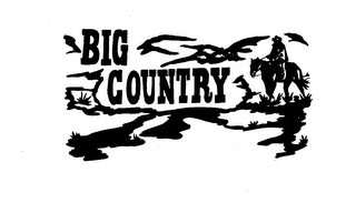 BIG COUNTRY logo