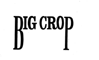 BIG CROP logo