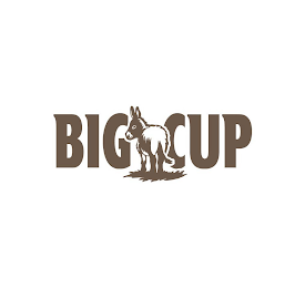 BIG CUP logo