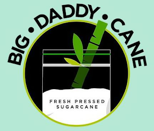 BIG · DADDY · CANE FRESH PRESSED SUGARCANE logo