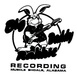 BIG DADDY RABBIT RECORDING MUSCLE SHOALS, ALABAMA logo
